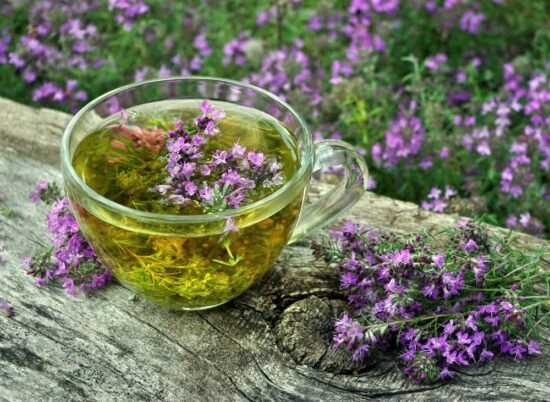 vivaces et vagabondes