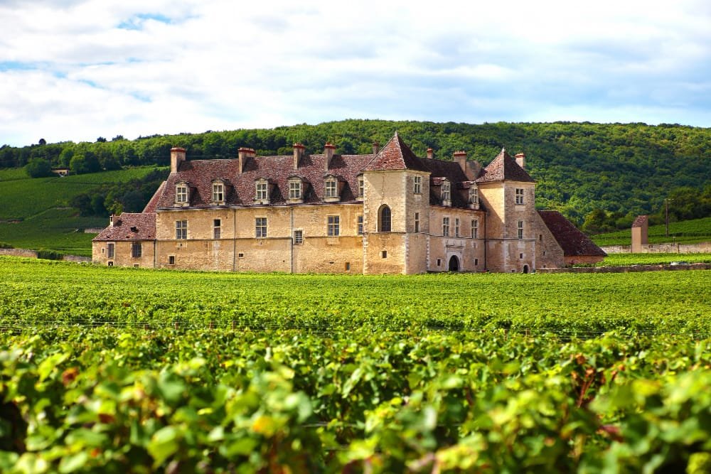 Domaines viticoles en Bourgogne