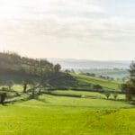 La vue depuis le gîte vignes et sentiers en bourgogne sud