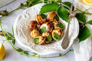 escargots de bourgogne sud