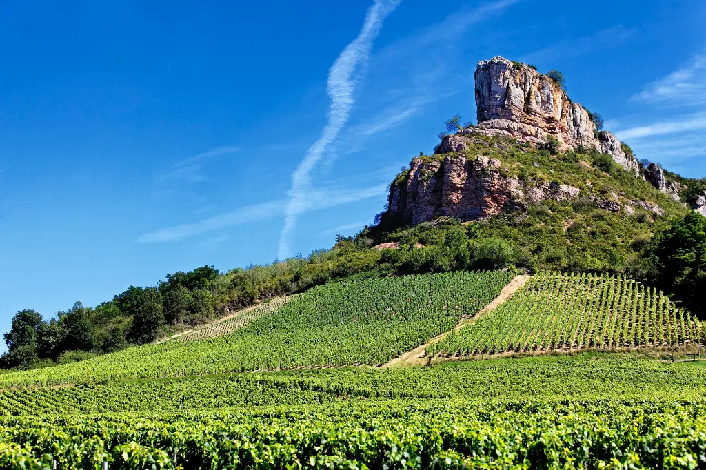 Roche de Solutré surplombant les vignes.