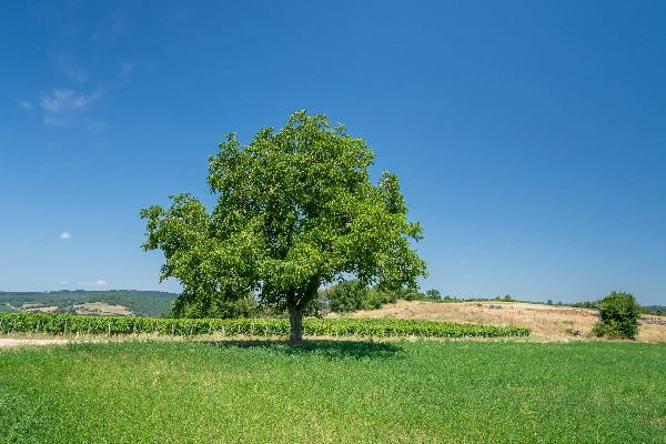 contact gite e charme