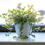 gîte avec grande salle de bain