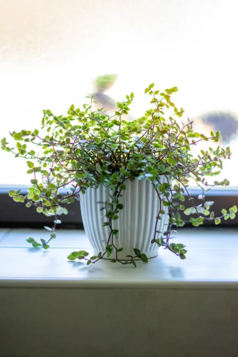 gîte avec grande salle de bain