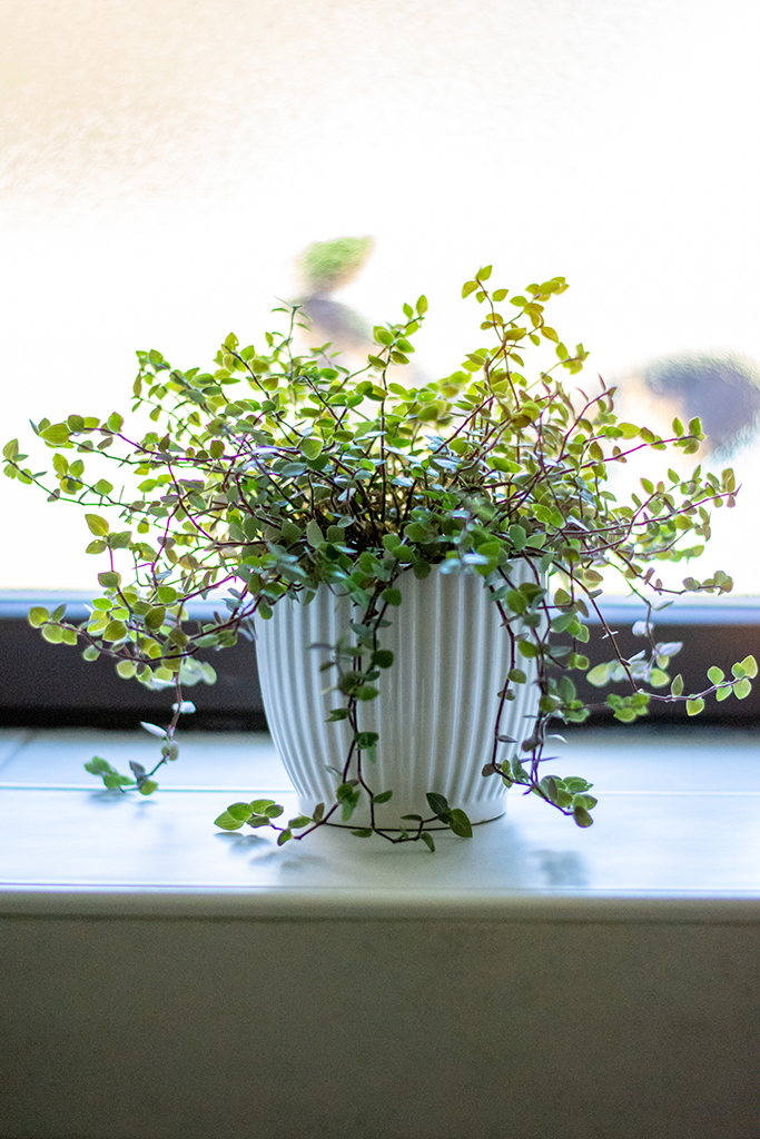 gîte avec grande salle de bain